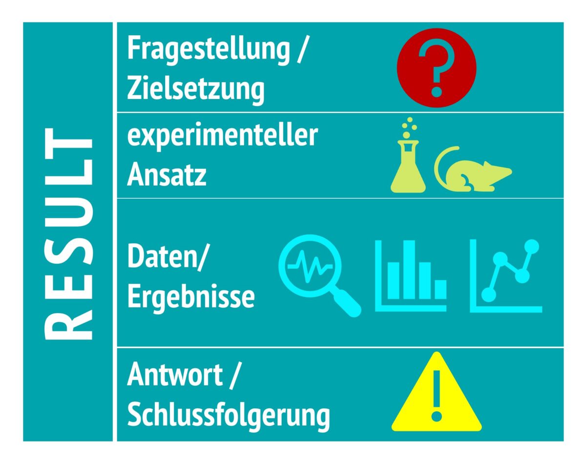 Was gehört zu einem wissenschaftlichen Ergebnis, wie schreibt man einen Absatz aus dem Ergebnisteil?