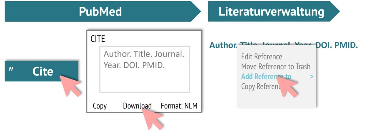Aus PubMed können Sie ganz einfach eine Quelle in Ihre Literaturverwaltungssoftware überführen.